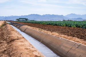 Top 10 Irrigation Tips for 2024